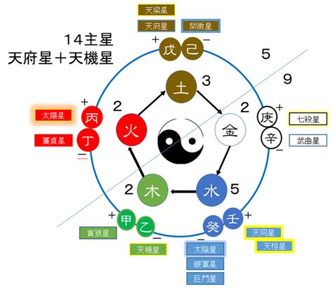 紫微五行屬性|安星規律入門︰由安命宮到十四主星